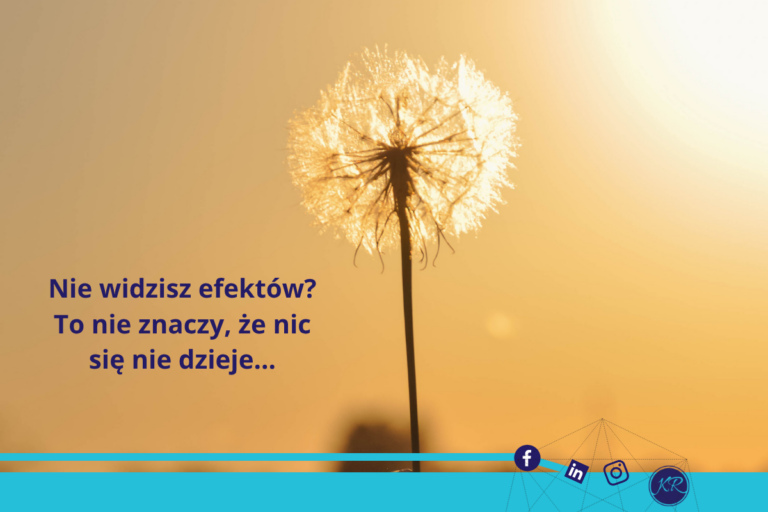 Nie widzisz efektów? To nie znaczy, że nic się nie dzieje…